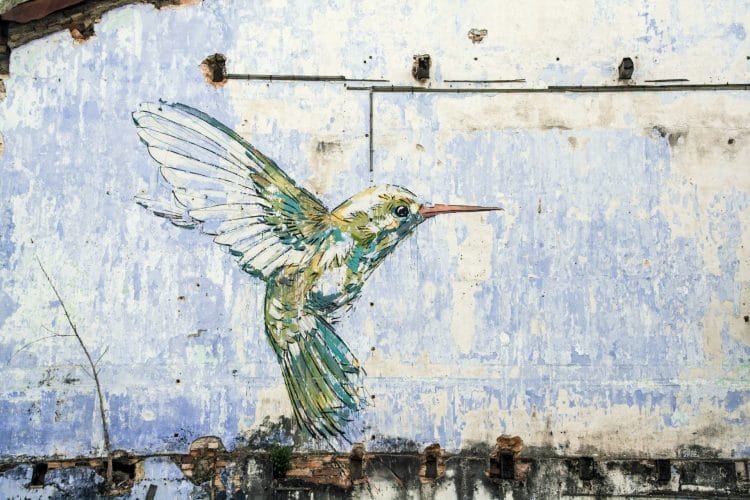 peinture murale hummingbird ipoh - malaisie