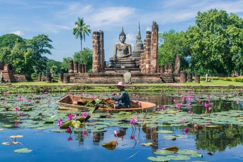 bassin aux lotus parc historique sukhothai - thailande