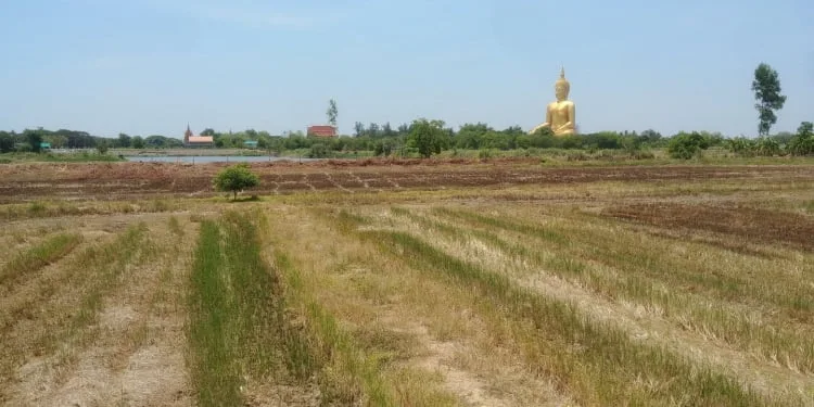 big buddha ang thong seen from afar