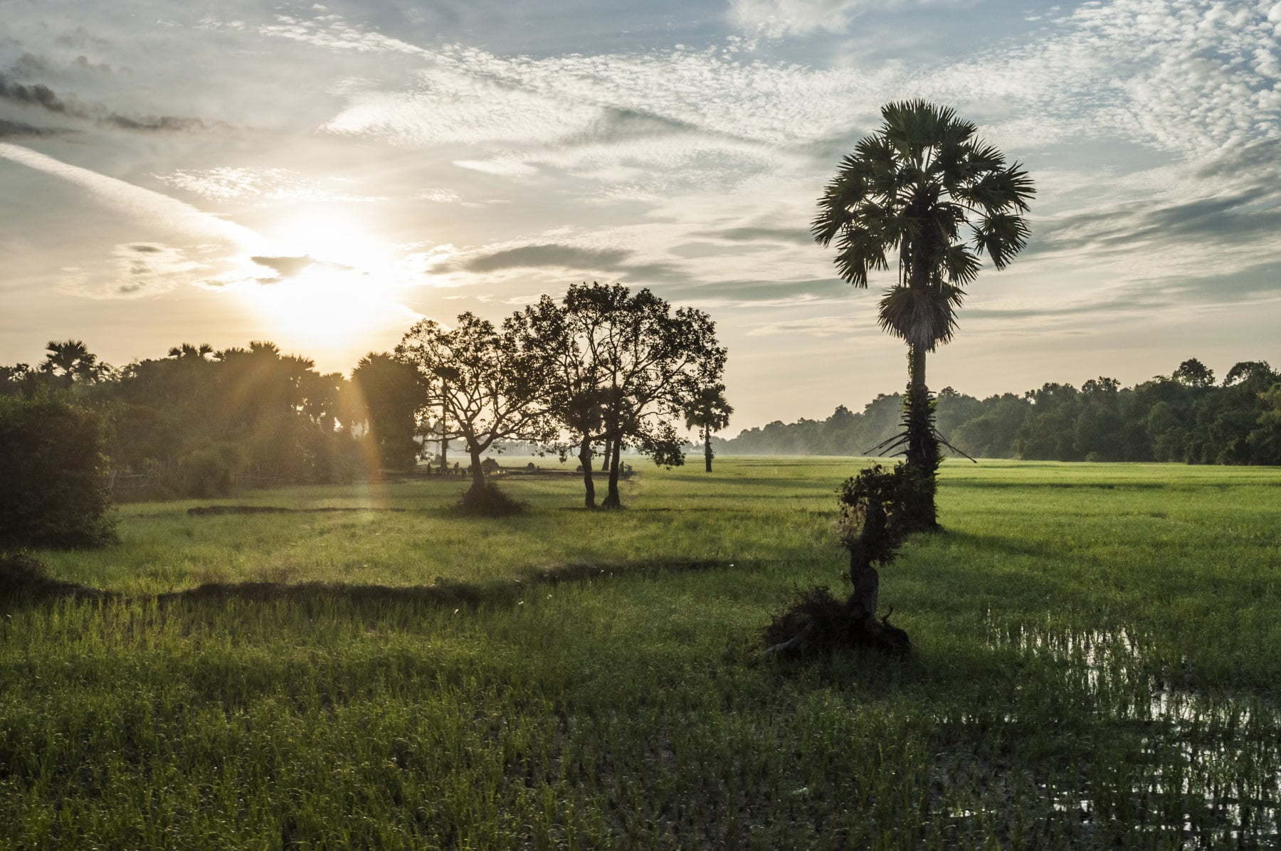 lever soleil riziere cambodge
