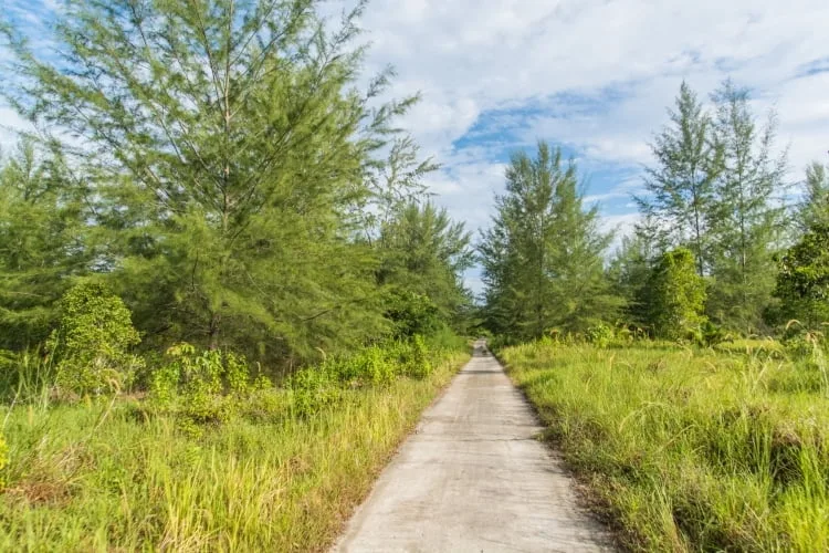 main road koh phra thong - thailand