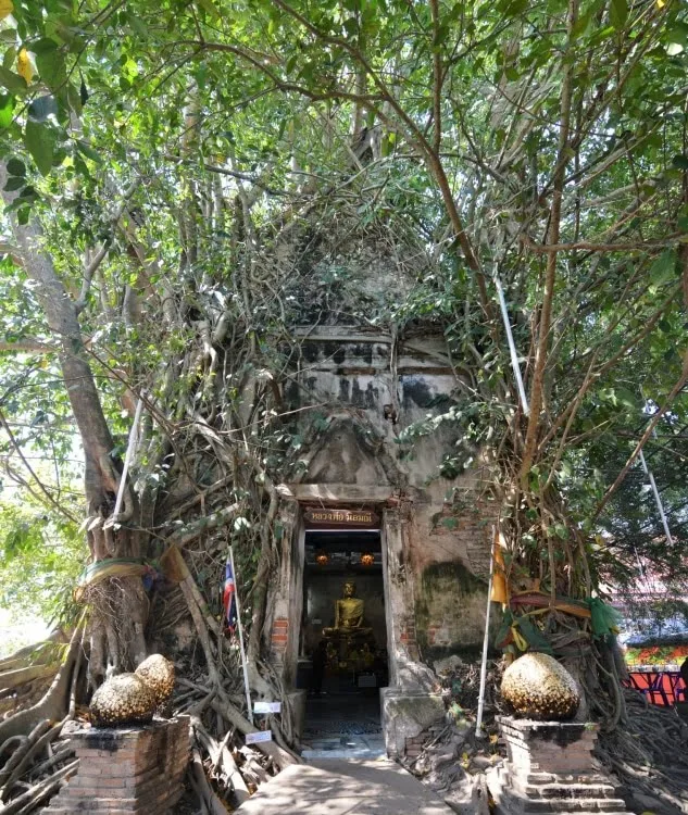 entrance wat bang kung amphawa