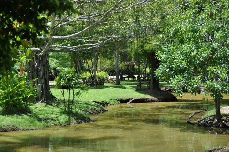rama II memorial park amphawa garden - thailand