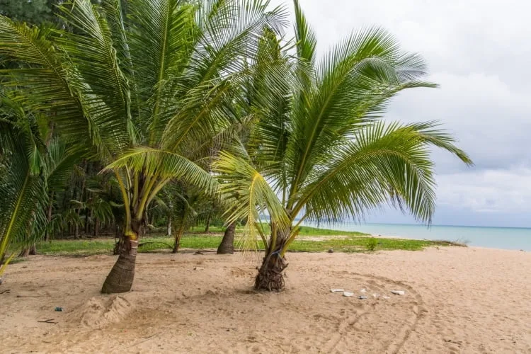 khuk khak beach - khao lak - thailand