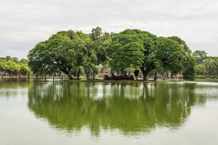 parc historique sukhothai en novembre parc historique sukhothai en novembre
