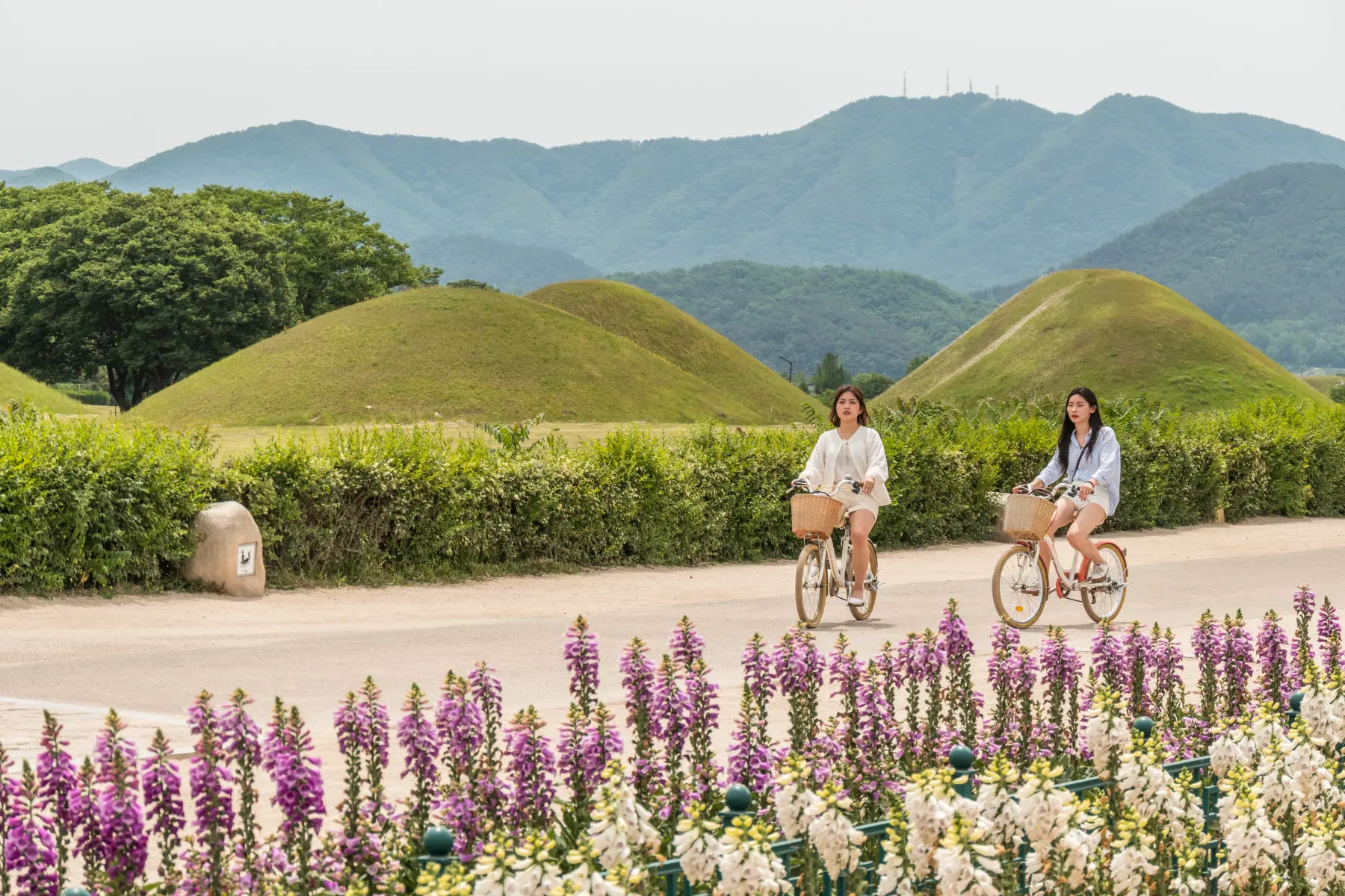 paysage a velo gyeongju coree du sud
