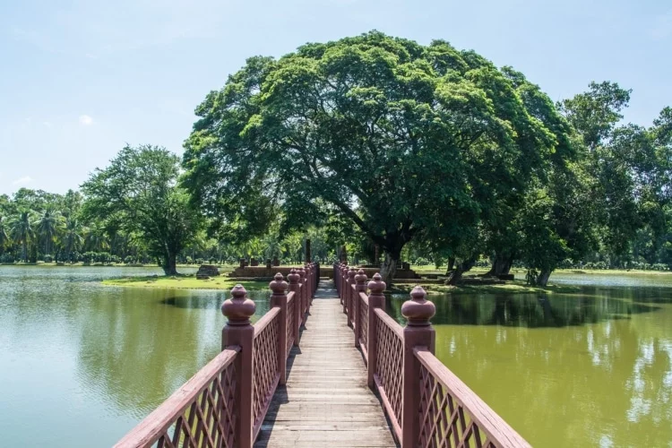 small island temple historical park sukhothai - thailand