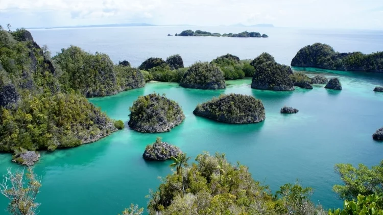 Rajat Ambat Islands, north of West Papua