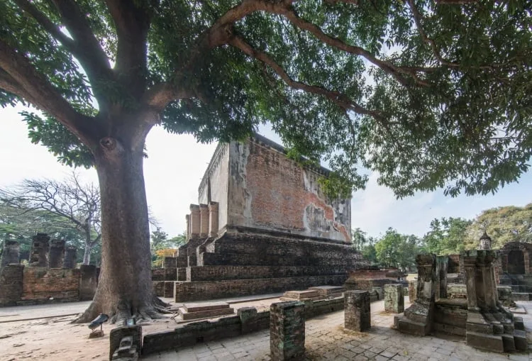 wat si chum historical park sukhothai - thailand