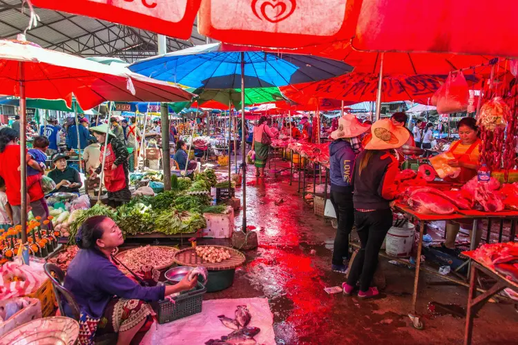 pakse march - south laos