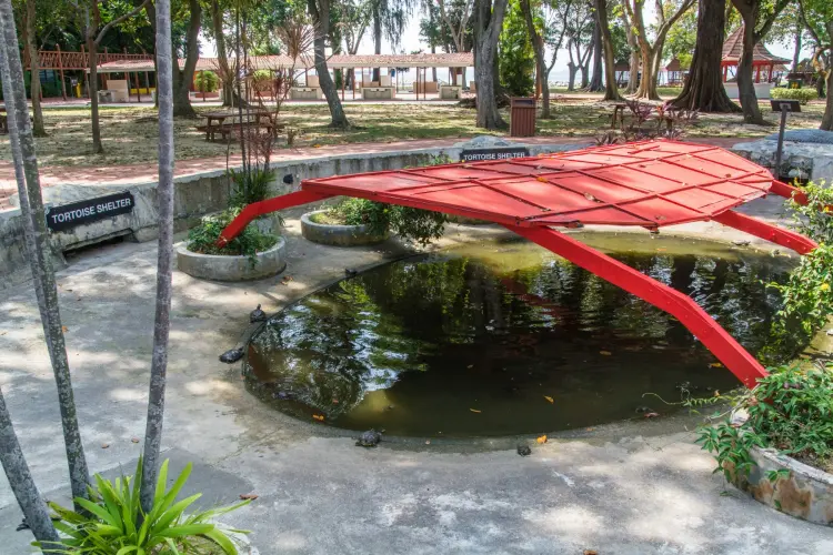 turtle shelter kusu island singapore