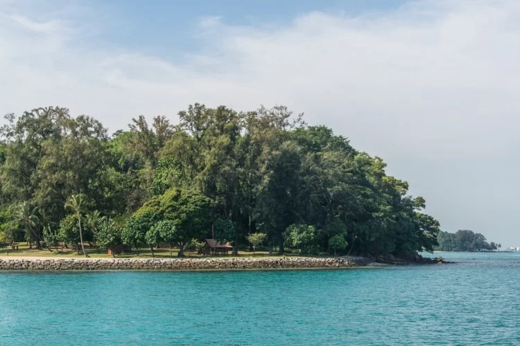 arrival at st john singapore