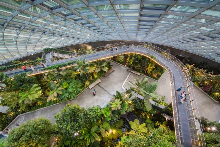 at cloud forest dome singapore