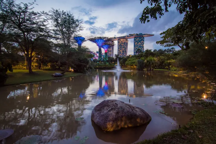 water lily ponds gardens by the bay singapore