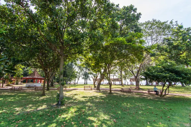 wood kusu island singapore