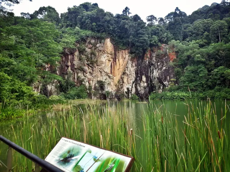 bukit timah reserve singapore