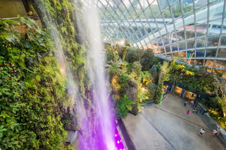 waterfall cloud forest dome singapore