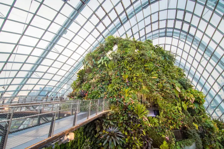 cloud walk dome singapore