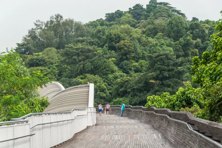 hendersonwaves singapore curvature