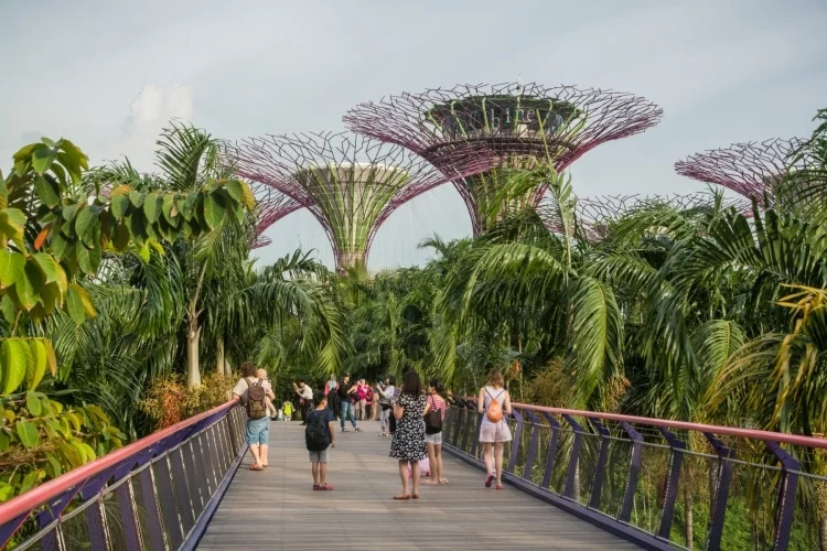 dragonfly bridge gardens by the bay - singapore
