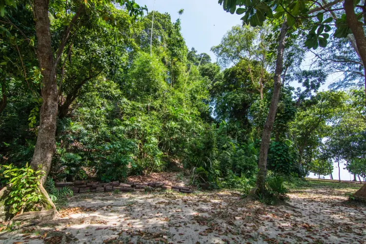 kusu island singapore forest