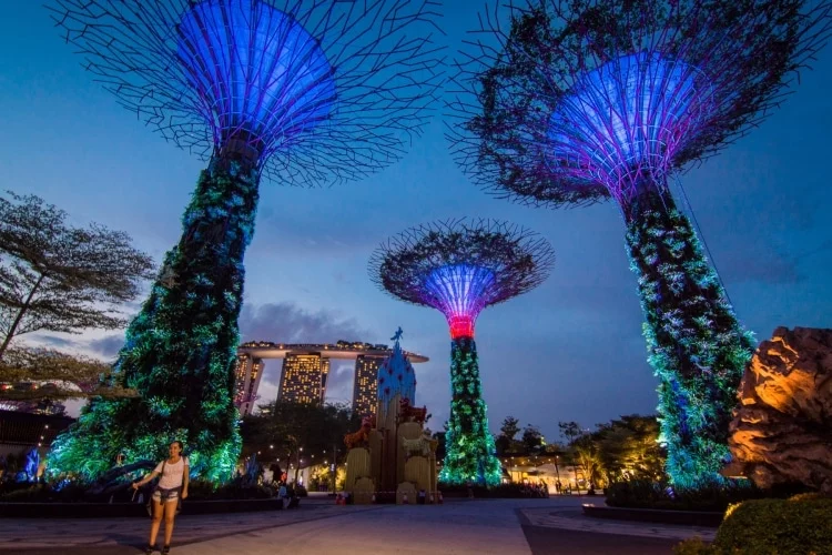 gardens by the bay at night - singapore