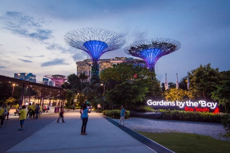 gardens by the bay nuit - singapour