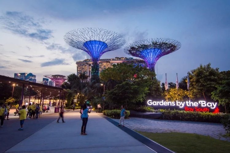 gardens by the bay night - singapore