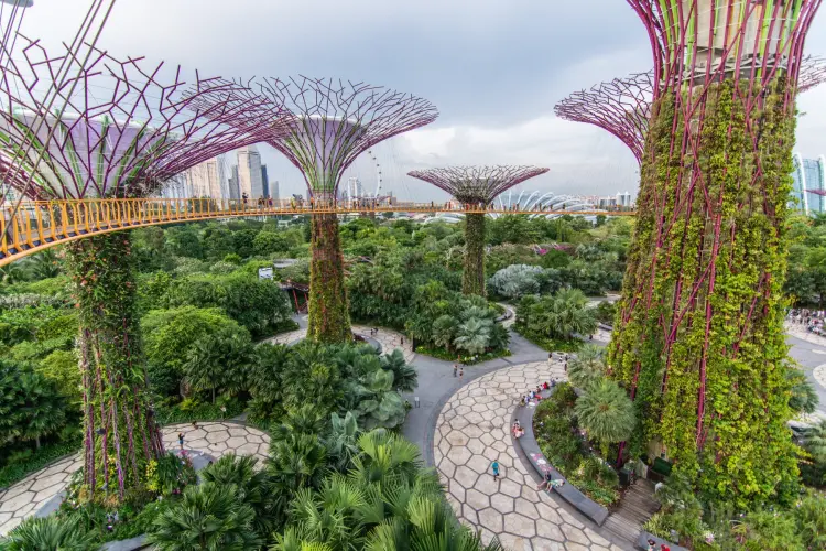 gardens by the bay - singapore