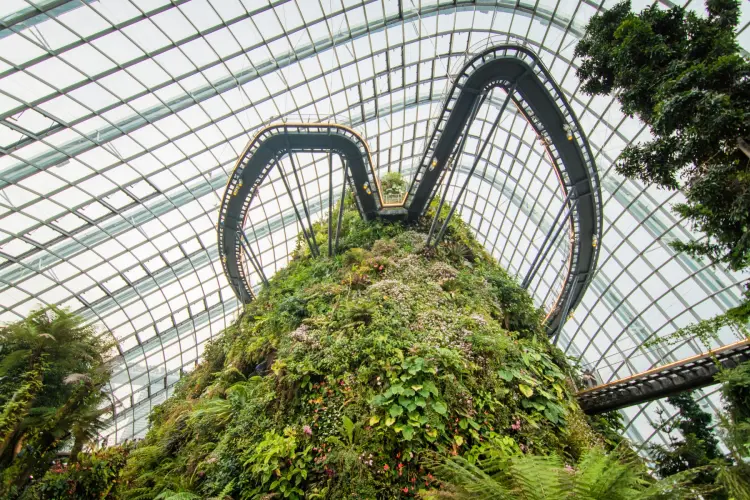 cloud forest dome singapore interior