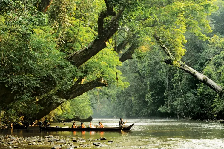 lata-berkoh-taman-negara-malaysia