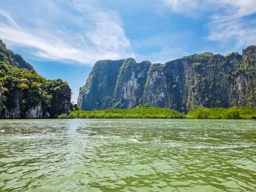 mangrove at the foot of ko raya bay of phang nga