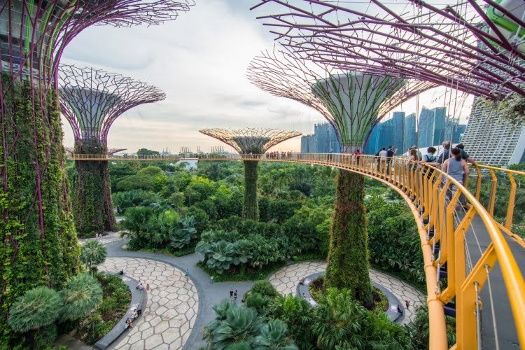 ocbc skyway gardens by the bay singapour