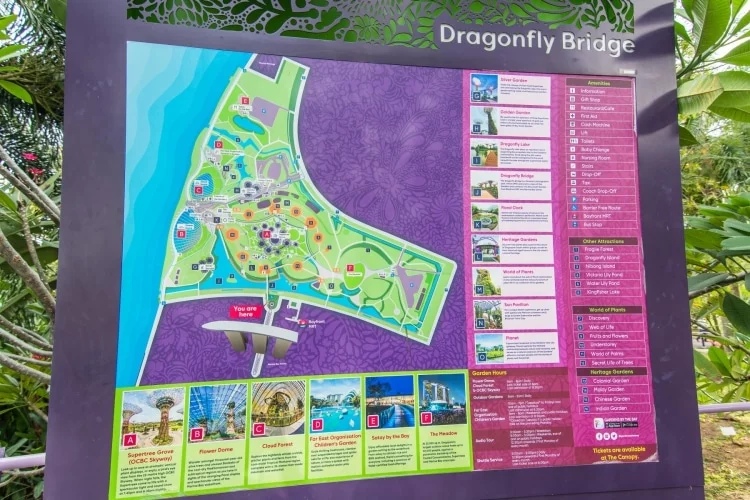 gardens by the bay - singapore