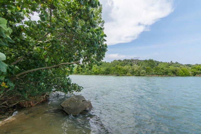 pulau ubin sensory trail singapour