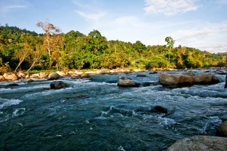 River passing through Royal Belum State Park