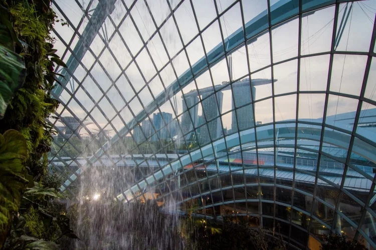 singapore from cloud forest dome