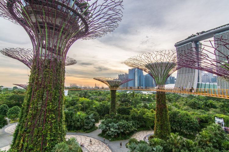 singapour ville verte gardens by the bay