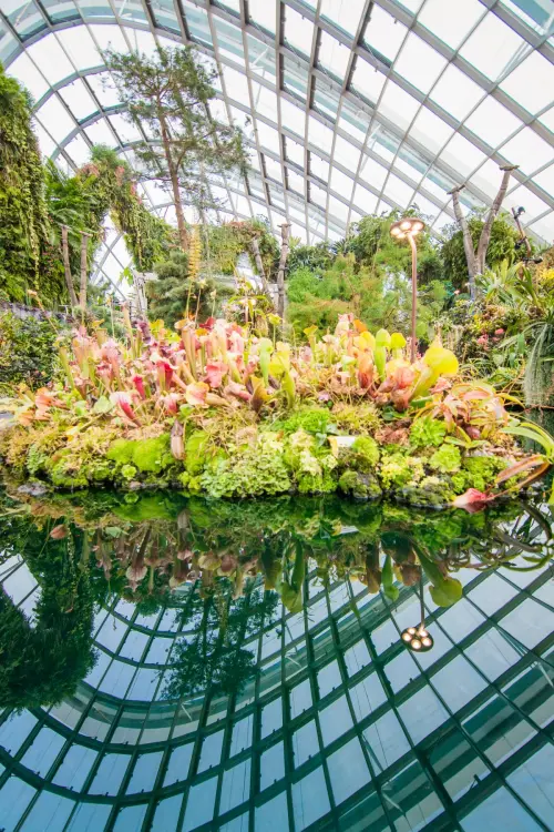 cloud forest dome singapore summit