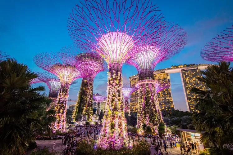 gardens by the bay night light show - singapore