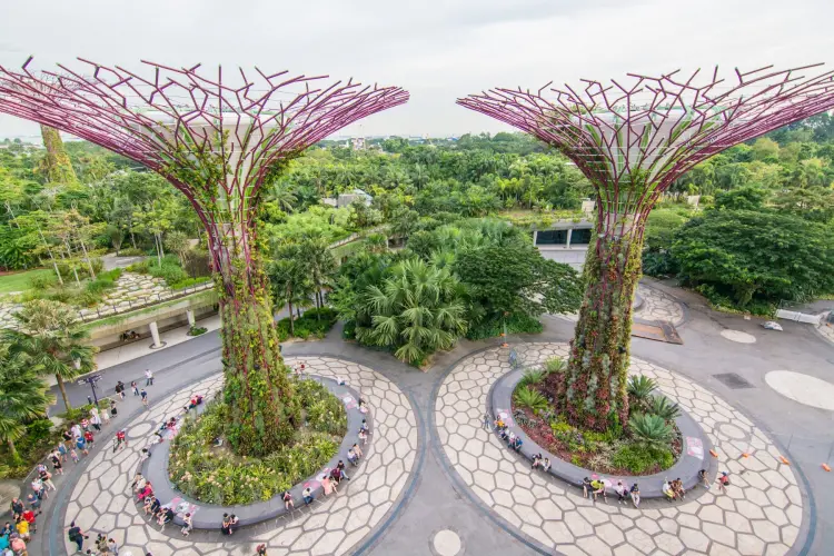super trees from skyway gardens by the bay singapore