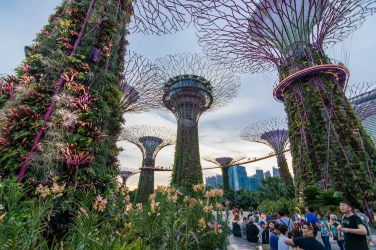 super trees gardens by the bay singapore