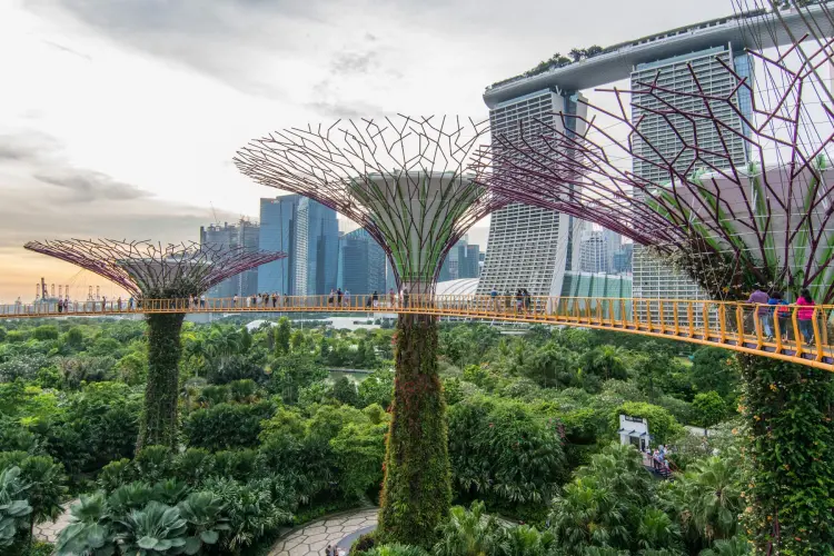 super tree grove ocbc skyway gardens by the bay singapore