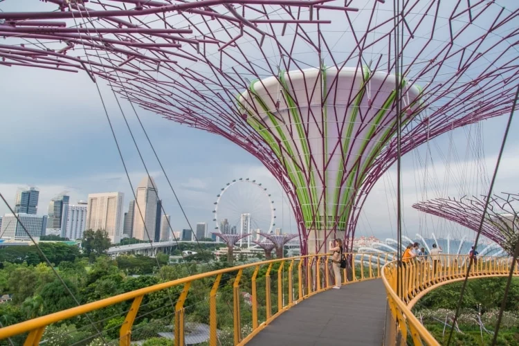 on skyway walkway gardens by the bay singapore