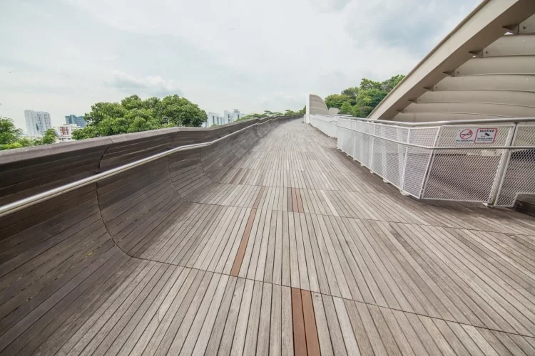 on henderson waves singapore bridge