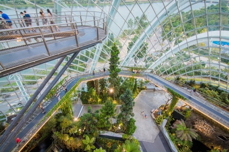 tree top walk cloud forest dome singapour