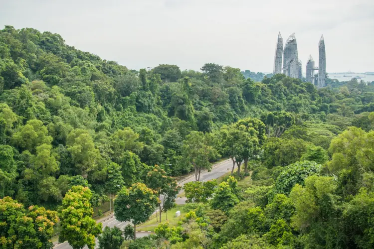 view from southern ridges - singapore