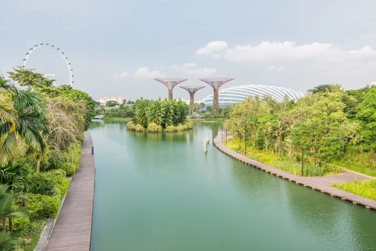 view of gardens by the bay - singapore