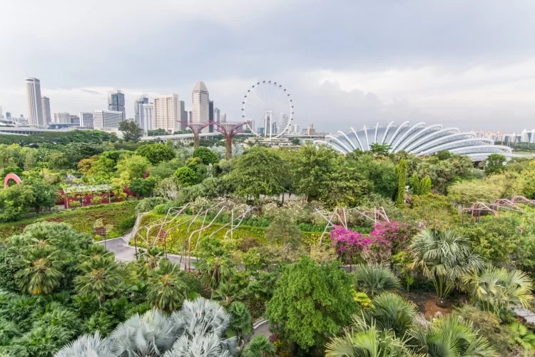 view gardens by the bay singapore
