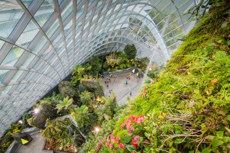 high angle view cloud forest dome singapore